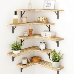 Shelves